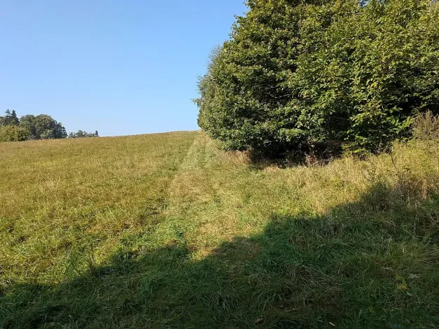 Prodej pozemku pro bydlení, Nové Lublice, 7990 m2