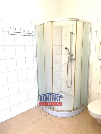 Pronájem bytu 2+kk, České Budějovice - České Budějovice 4, 48 m2