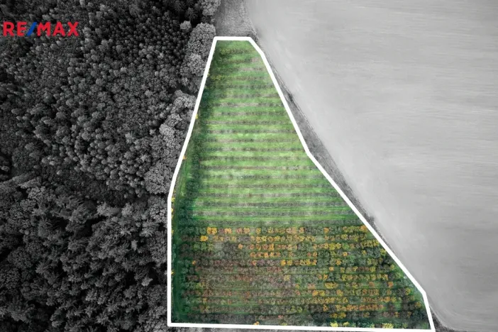 Prodej pozemku pro bydlení, Těchlovice, 24402 m2