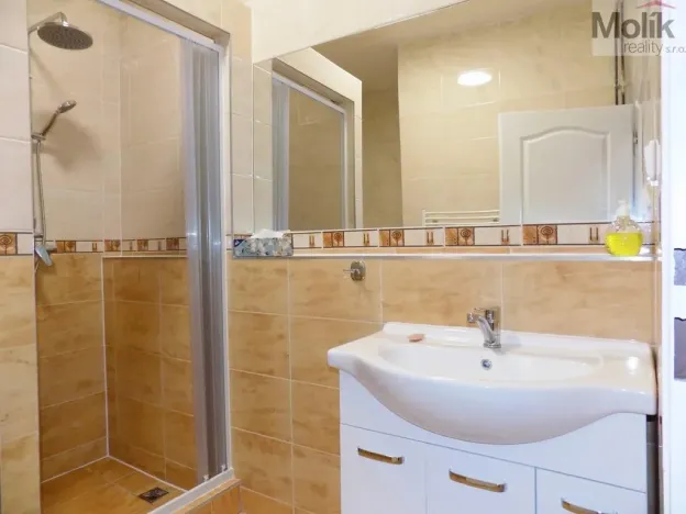 Pronájem bytu 2+1, Teplice, U Hadích lázní, 53 m2