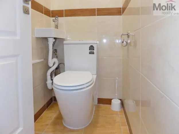 Pronájem bytu 2+1, Teplice, U Hadích lázní, 53 m2