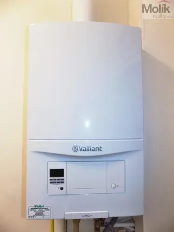 Pronájem bytu 2+1, Teplice, U Hadích lázní, 53 m2