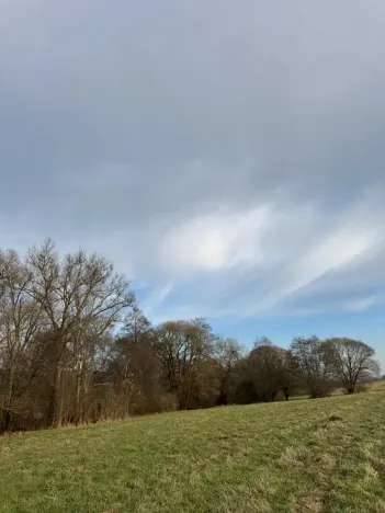 Prodej pozemku, Chvalšiny, 21761 m2