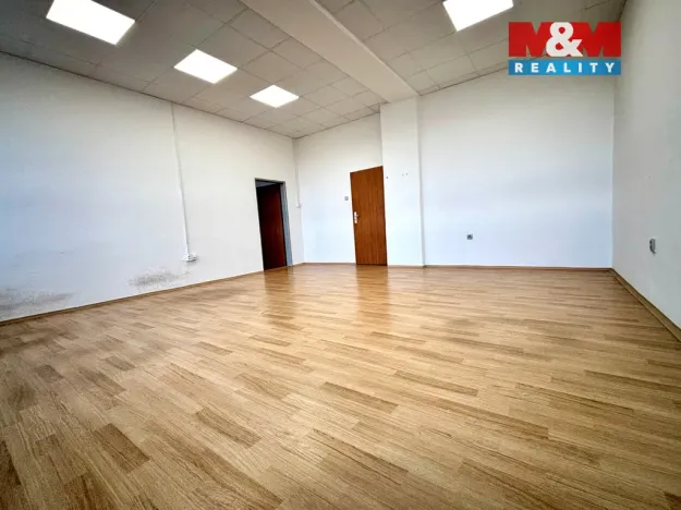 Pronájem kanceláře, České Budějovice - České Budějovice 3, K. Světlé, 35 m2