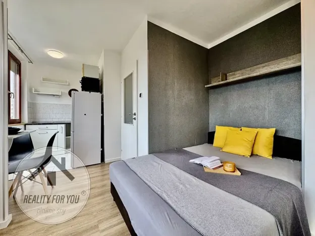 Pronájem bytu 1+kk, Praha - Záběhlice, Dunická, 18 m2