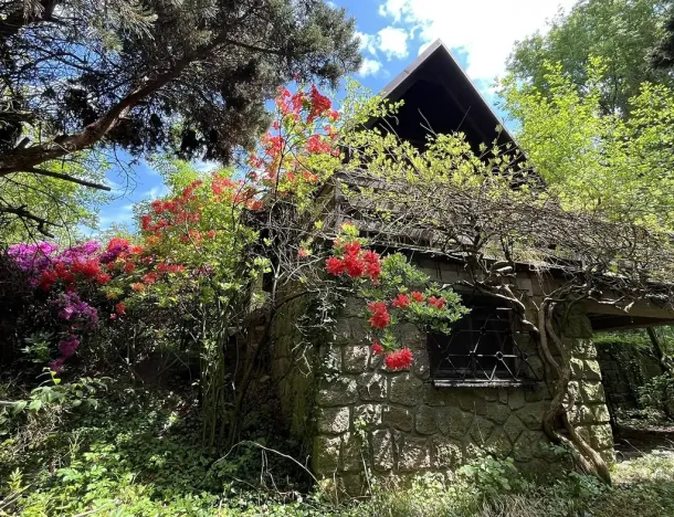 Prodej chaty, Běstvina, 70 m2