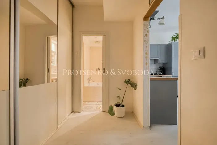 Prodej bytu 2+kk, Praha - Žižkov, Jana Želivského, 45 m2