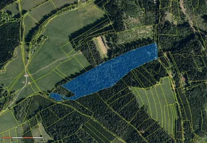 Prodej podílu lesa, Lidečko, 48058 m2