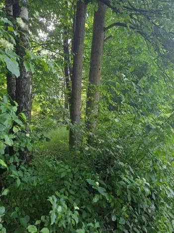 Prodej pozemku, Rožnov pod Radhoštěm, 126 m2