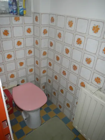 Dražba rodinného domu, Nasavrky, 231 m2