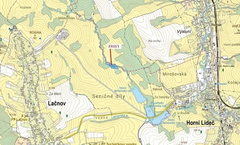 Dražba lesa, Lačnov, 10526 m2