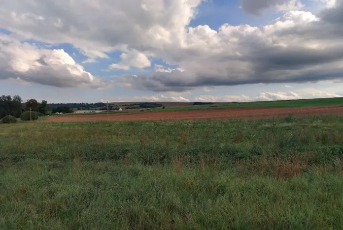 Prodej pole, Otovice, 26263 m2