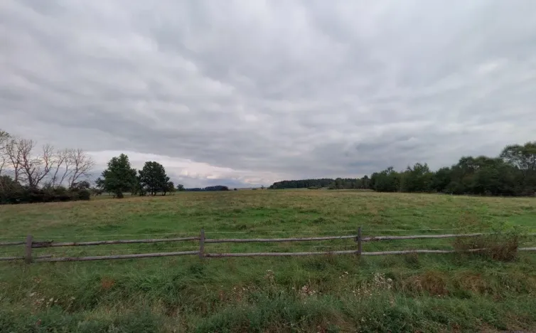 Prodej pole, Spálené Poříčí - Struhaře, 12536 m2