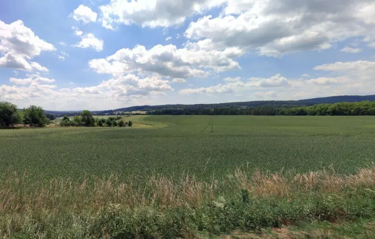 Prodej pole, Albrechtice nad Vltavou, 33781 m2