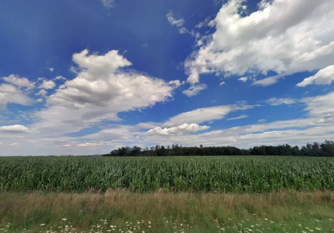 Prodej pole, Bystřice - Petrovice, 18096 m2