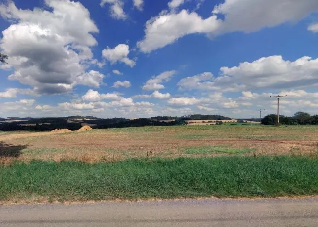 Prodej zahrady, Červený Újezd - Nové Dvory, 8872 m2