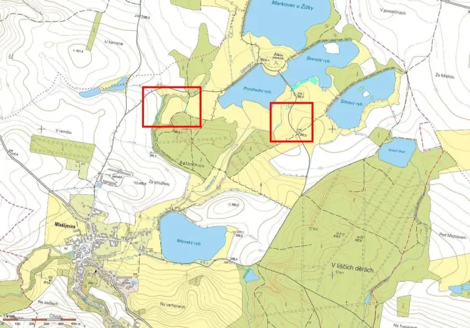 Prodej pole, Čejetice - Mladějovice, 1760 m2