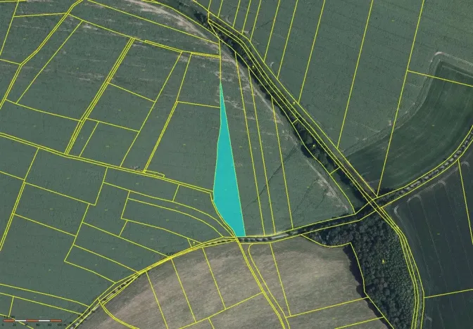 Prodej zahrady, Pravonín - Volavka, 6189 m2