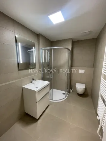 Pronájem bytu 2+kk, České Budějovice, Hálkova, 37 m2