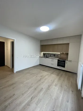 Pronájem bytu 2+kk, České Budějovice, Hálkova, 40 m2