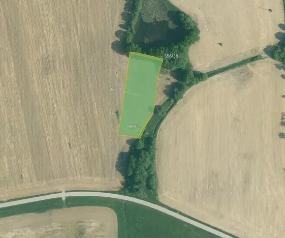 Prodej pole, Olešník, 67455 m2