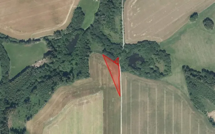 Prodej pole, Velká Losenice, 6511 m2