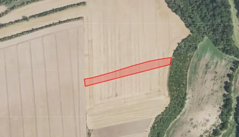 Prodej pole, Blevice, 4884 m2