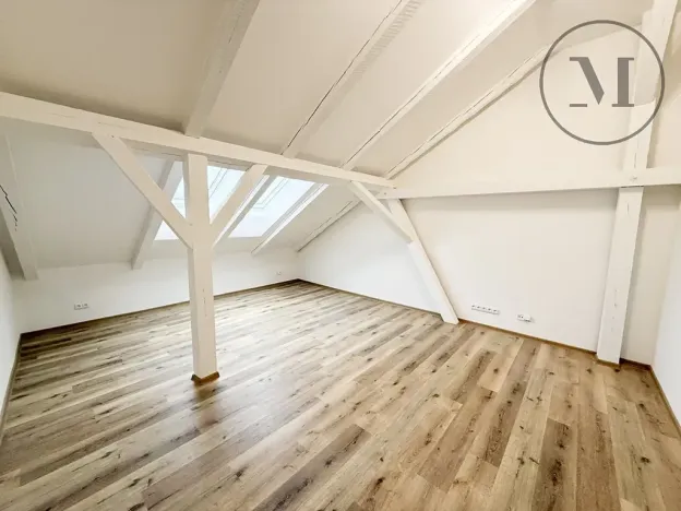 Prodej bytu 3+kk, České Budějovice, K. Weise, 124 m2