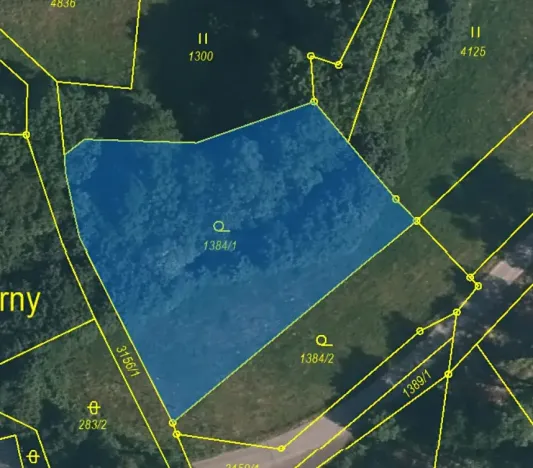 Prodej louky, Křižany, 2663 m2