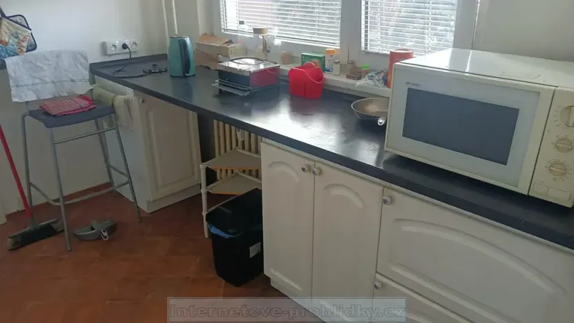 Pronájem pokoje, Praha - Liboc, Krajní, 14 m2