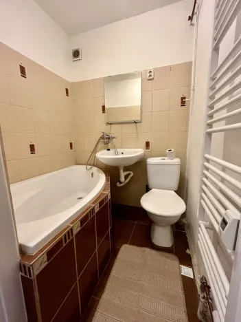 Pronájem bytu 1+1, Ostrava - Zábřeh, Čujkovova, 29 m2