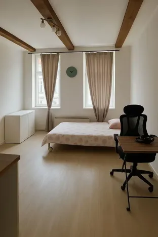 Pronájem bytu 1+kk, Praha - Žižkov, Cimburkova, 29 m2