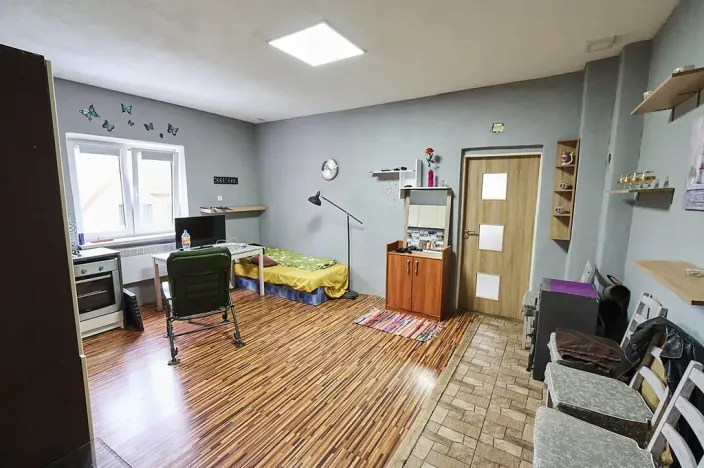 Prodej obchodního prostoru, Bruzovice, 773 m2