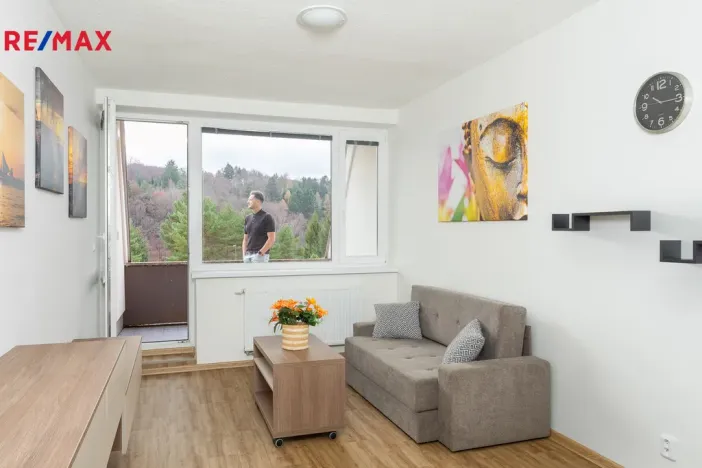 Prodej bytu 2+kk, Všemina, 45 m2