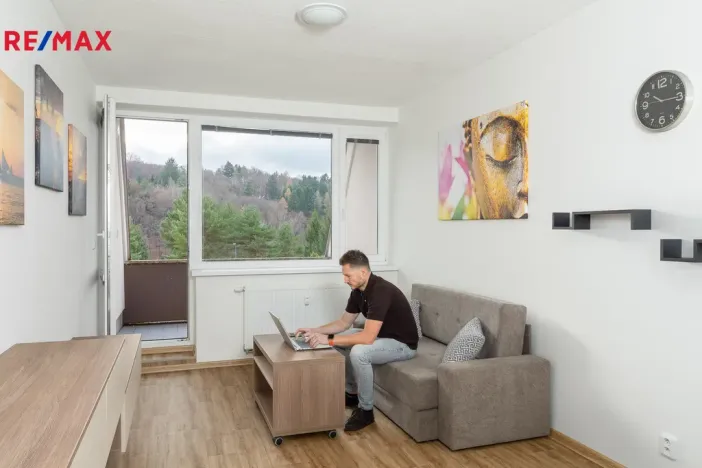 Prodej bytu 2+kk, Všemina, 45 m2