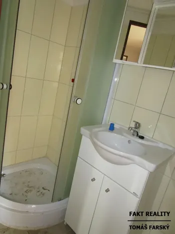 Pronájem bytu 1+1, Děčín, Teplická, 39 m2