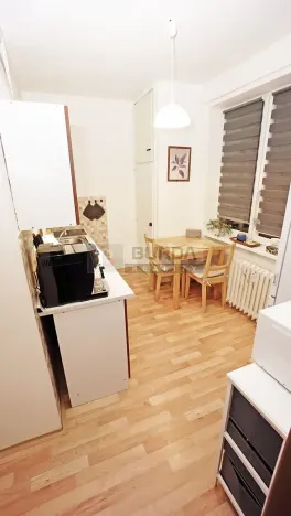 Pronájem bytu 2+1, Mělník, Oldřicha Wenzla, 55 m2