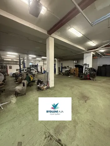 Prodej obchodního prostoru, Praha, Lodžská, 600 m2