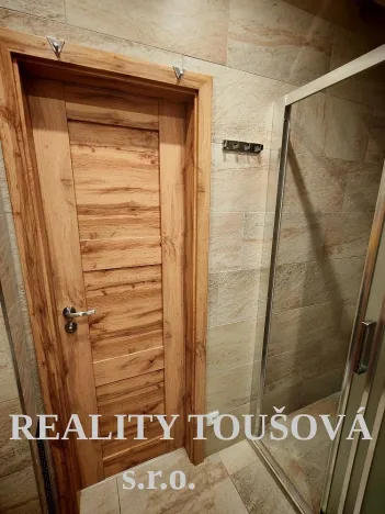 Pronájem bytu 3+kk, Plzeň - Jižní Předměstí, Alešova, 54 m2