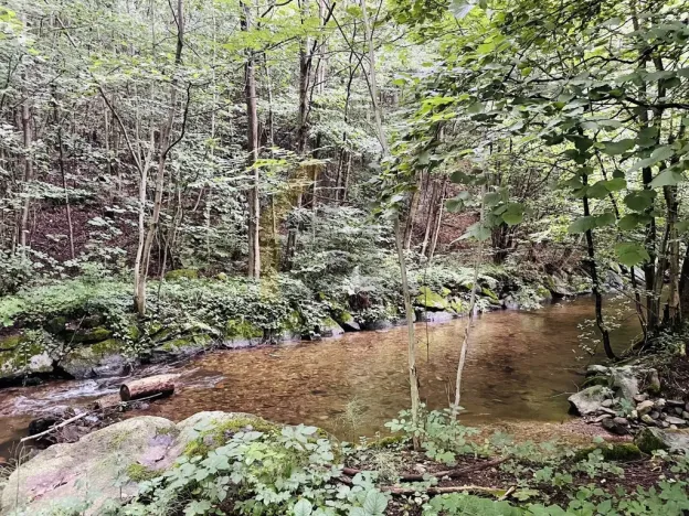 Prodej pozemku pro bydlení, Oskava, 4532 m2