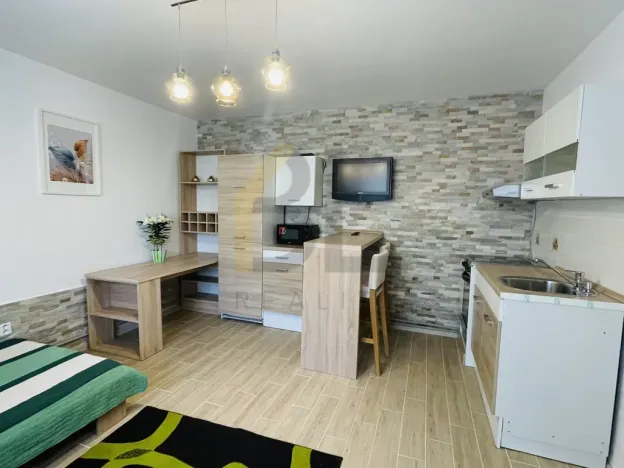 Pronájem bytu 1+kk, Velké Bílovice, Mírová, 20 m2