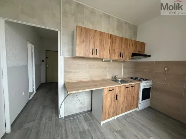 Pronájem bytu 2+1, Most, Hutnická, 55 m2