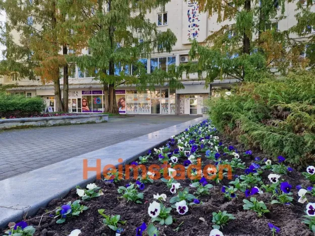 Pronájem kanceláře, Havířov - Město, nám. Republiky, 66 m2