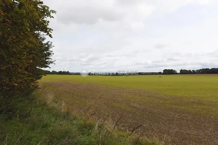 Prodej rodinného domu, Vodňany, 281 m2