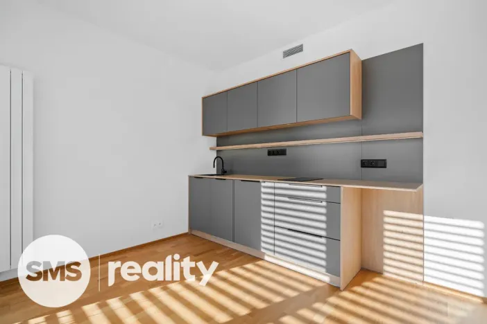 Pronájem bytu 1+kk, Ostrava - Moravská Ostrava, Pivovarská, 32 m2