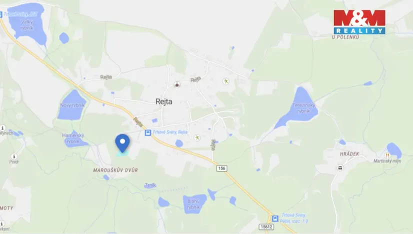 Prodej pozemku, Trhové Sviny, 4129 m2