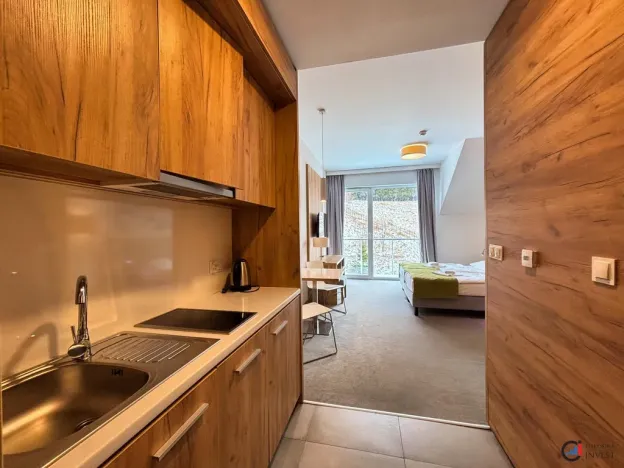 Prodej apartmánu, Dolní Morava, 28 m2