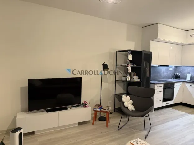 Pronájem bytu 1+kk, Ostrava - Slezská Ostrava, U Hájenky, 34 m2