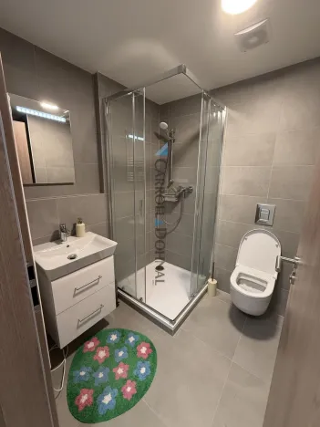 Pronájem bytu 1+kk, Ostrava - Slezská Ostrava, U Hájenky, 34 m2