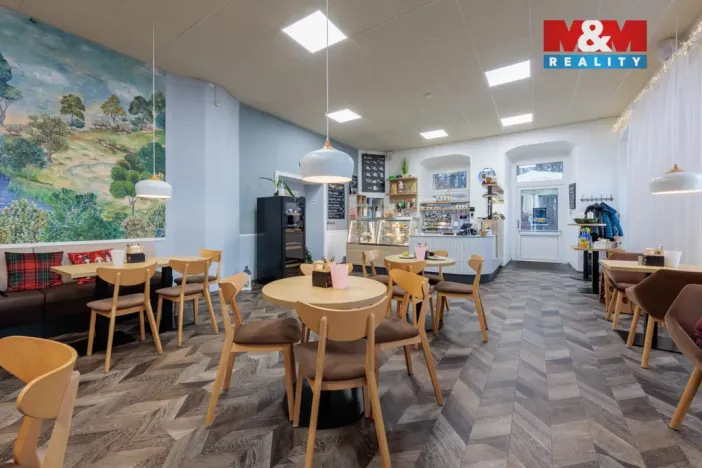 Prodej obchodního prostoru, Nejdek, Karlovarská, 5519 m2